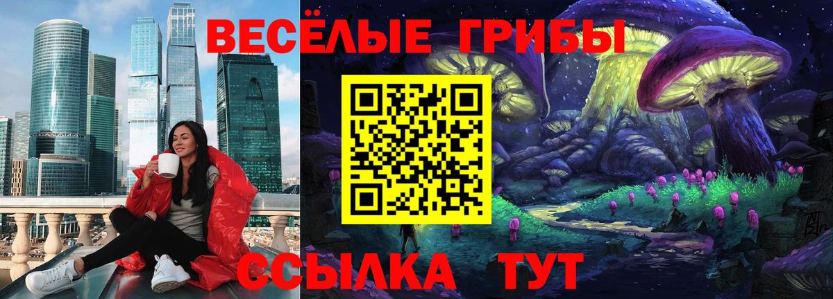 Псилоцибиновые грибы GOLDEN TEACHER Россошь