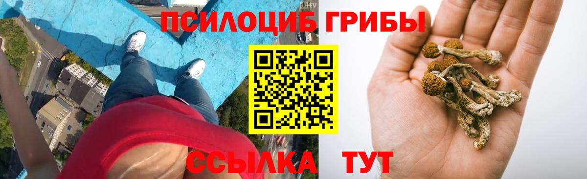 Россошь  Псилоцибиновые грибы мухоморы  Псилоцибиновые грибы прущие грибы  Вход с VPN 