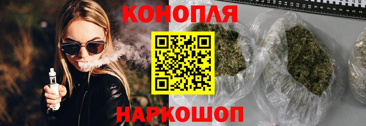Бошки Шишки план Россошь